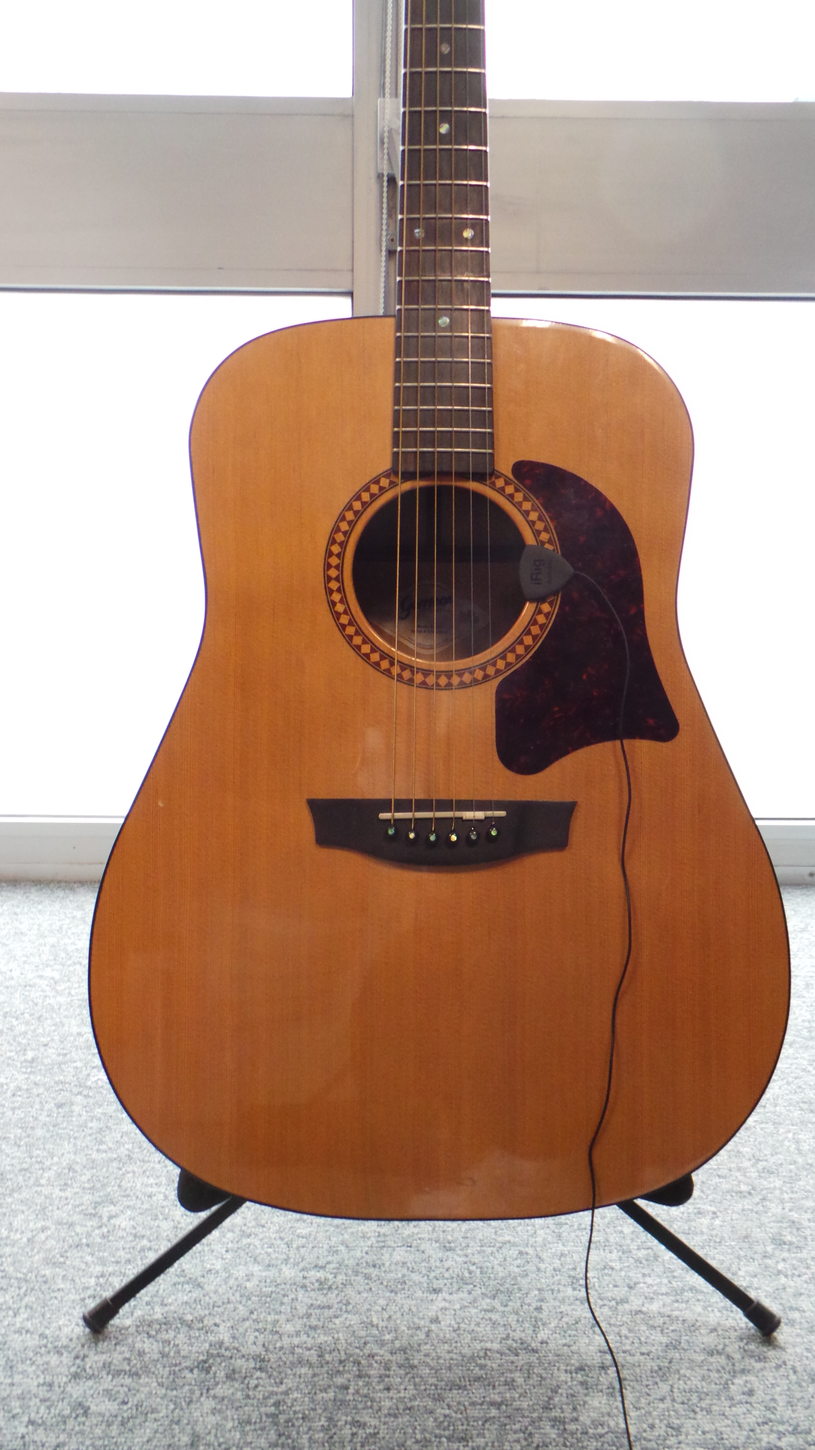 IK Multimedia iRig Acoustic : cable2.JPG