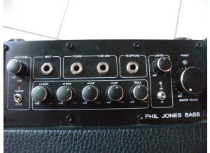 Phil Jones Bass Flightcase BG-150 (11344)