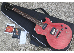 Gibson Les Paul BFG (23988)