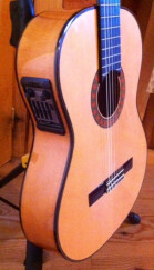 Alhambra Guitars 10 Fc CW E2