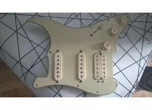 Fender Loaded Pickguard (4514)
