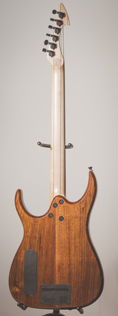 Ormsby Guitars SX : 3358310