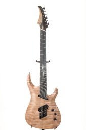 Ormsby Guitars SX : 5054269 orig Ormsby Guitars SX : 5054269 orig