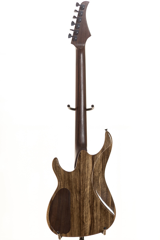 Ormsby Guitars SX : 9939480 orig