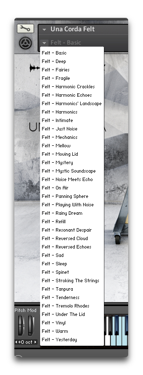 Native Instruments Una Corda : SnapshotFelt