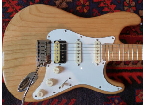 Fender Special Edition Lite Ash Stratocaster (33399)