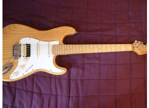 Fender Special Edition Lite Ash Stratocaster (23739)