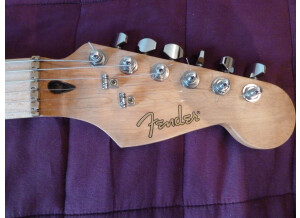 Fender Special Edition Lite Ash Stratocaster (65698)