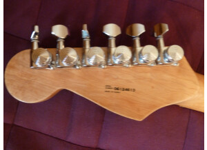 Fender Special Edition Lite Ash Stratocaster (40063)