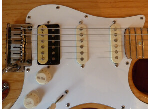 Fender Special Edition Lite Ash Stratocaster (64528)