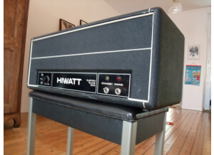 Hiwatt custom slave 200