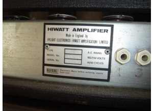 Hiwatt custom slave 200