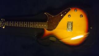 Line 6 Variax 500