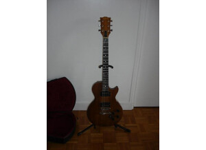 Gibson The Paul (30087)