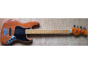 Fender Jazz Bass (1973) (68653)