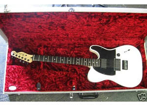 Fender Jim Root Telecaster (21821)