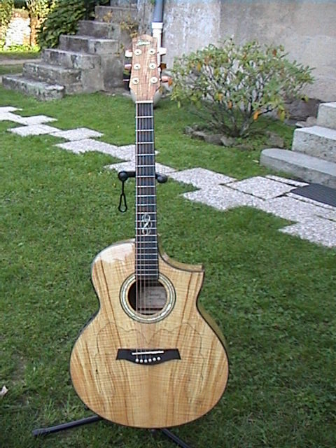 Ibanez EW50SME