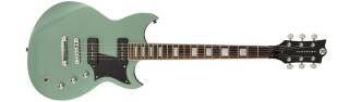 Reverend Sensei 290 (2011)