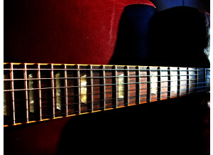 Gibson Firebird V - Vintage Sunburst (12441)