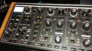 Moog Music SUB 37