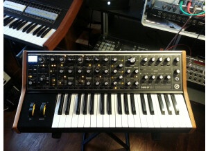 Moog Music SUB 37 (19709)