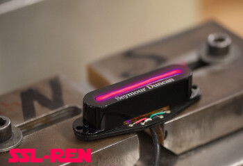 Seymour Duncan SSL-Ren : SSL-Ren Seymour Duncan SSL-Ren : SSL-Ren