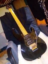 Washburn MG74