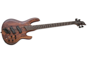 B 1004SE MULTI SCALE 2