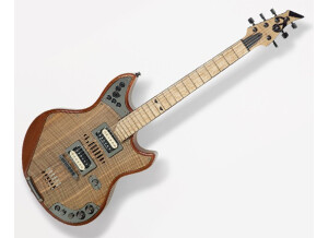 2014guitar (6)
