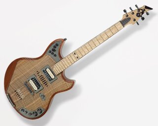 2014guitar (6) 2014guitar (6)