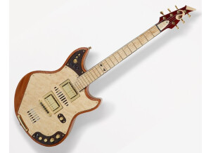 2014guitar (4)