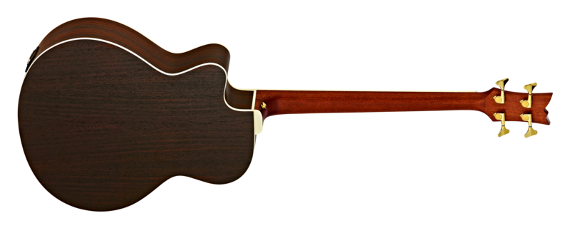 Ortega D558-4 : csm t3 D558 4 Back 3a46edd1d0