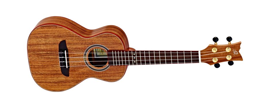 Ortega RUACA-CC : csm t3 RUACA CC Front e21e70ff5e