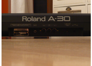 Roland A-30 (28975)