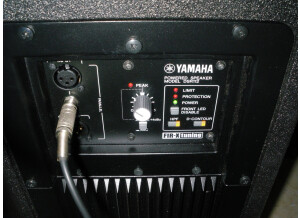 Yamaha DSR112 (37716)