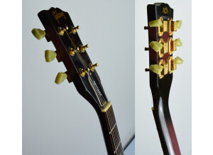 Gibson Les Paul Studio Custom (9207)