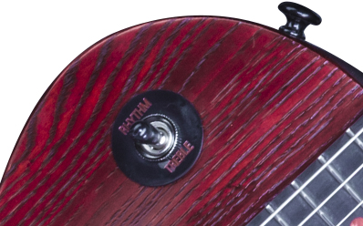 Gibson Les Paul Voodoo 2016 : LPSV16JJBC3 ELECTRONICS PANEL 03