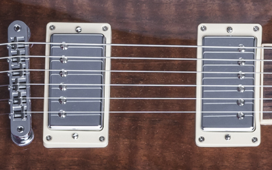 Gibson Les Paul Standard Figured Walnut : LPSWN16NACH1 PLASTICS PANEL 03