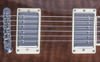 Gibson Les Paul Standard Figured Walnut : LPSWN16NACH1 PLASTICS PANEL 03 Gibson Les Paul Standard Figured Walnut : LPSWN16NACH1 PLASTICS PANEL 03