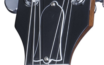 Gibson Les Paul Standard Figured Walnut : LPSWN16NACH1 PLASTICS PANEL 02