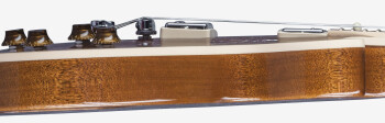 Gibson Les Paul Standard Figured Walnut : LPSWN16NACH1 ELECTRONICS SIDE