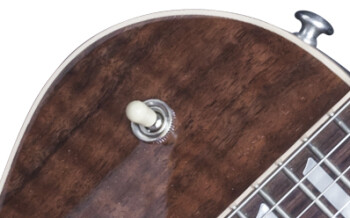Gibson Les Paul Standard Figured Walnut : LPSWN16NACH1 ELECTRONICS PANEL 03