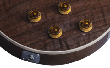 Gibson Les Paul Standard Figured Walnut : LPSWN16NACH1 ELECTRONICS PANEL 02