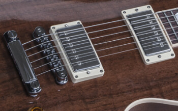 Gibson Les Paul Standard Figured Walnut : LPSWN16NACH1 ELECTRONICS PANEL 01