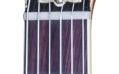 LP59RNASNBNH1 FRETBOARD PANEL 03