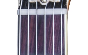 LP59RNASNBNH1 FRETBOARD PANEL 03 LP59RNASNBNH1 FRETBOARD PANEL 03