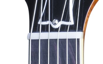 LP59RNNBNH1 FRETBOARD PANEL 03 LP59RNNBNH1 FRETBOARD PANEL 03