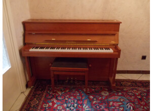 Gaveau Piano Droit (71264)