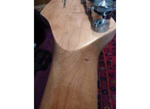 Fender Special Edition Lite Ash Stratocaster (27042)