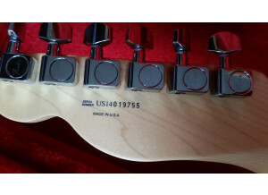 Fender American Special Telecaster (6356)